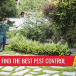 Top 5 tips to find the best pest control - Pest control services in South Florida by Petri Pest Control