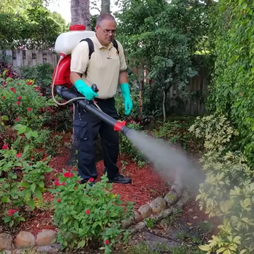 Mosquito control in Greenacres FL by Petri Pest Control